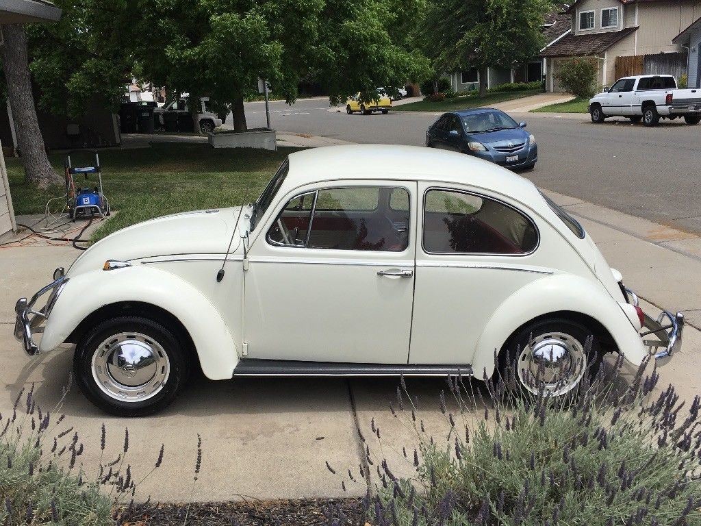 1965 Volkswagen Beetle Classic in great condition