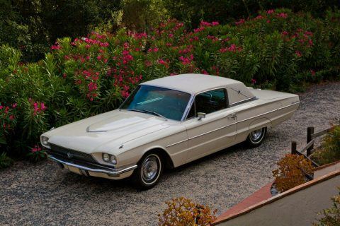 1966 Ford Thunderbird for sale