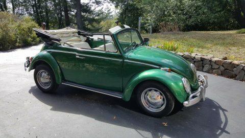 1965 Volkswagen Beetle Classic for sale