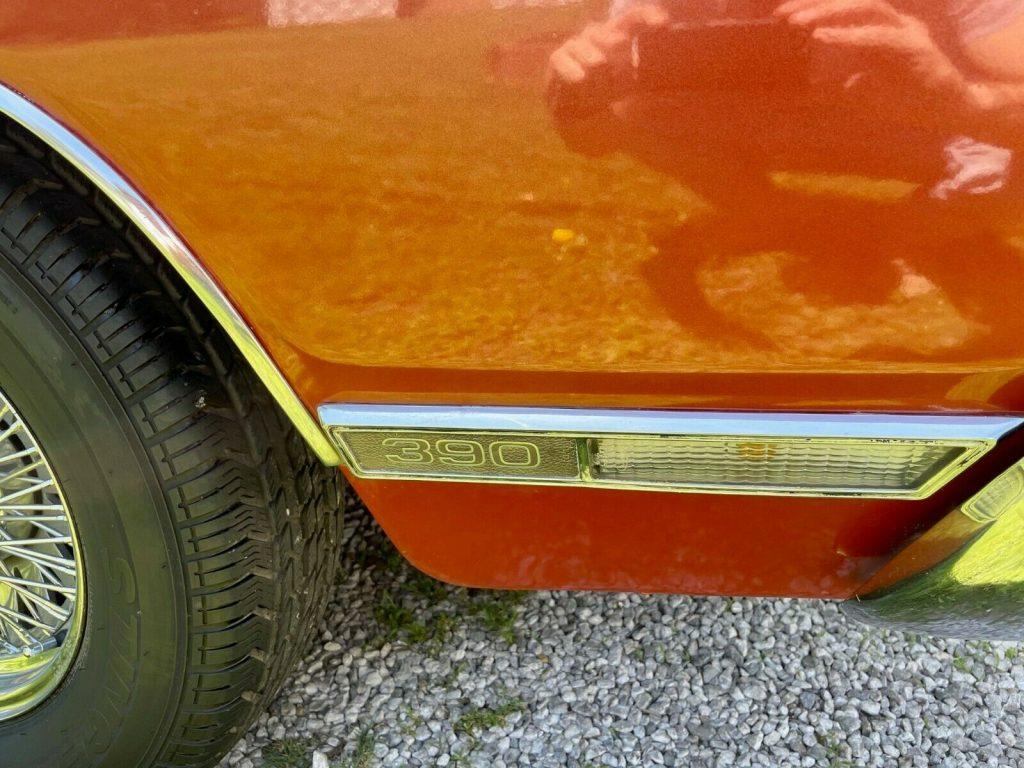 1969 Ford Galaxie