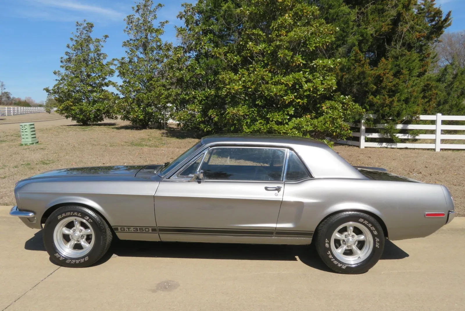 1968 Ford Gt350 Mustang