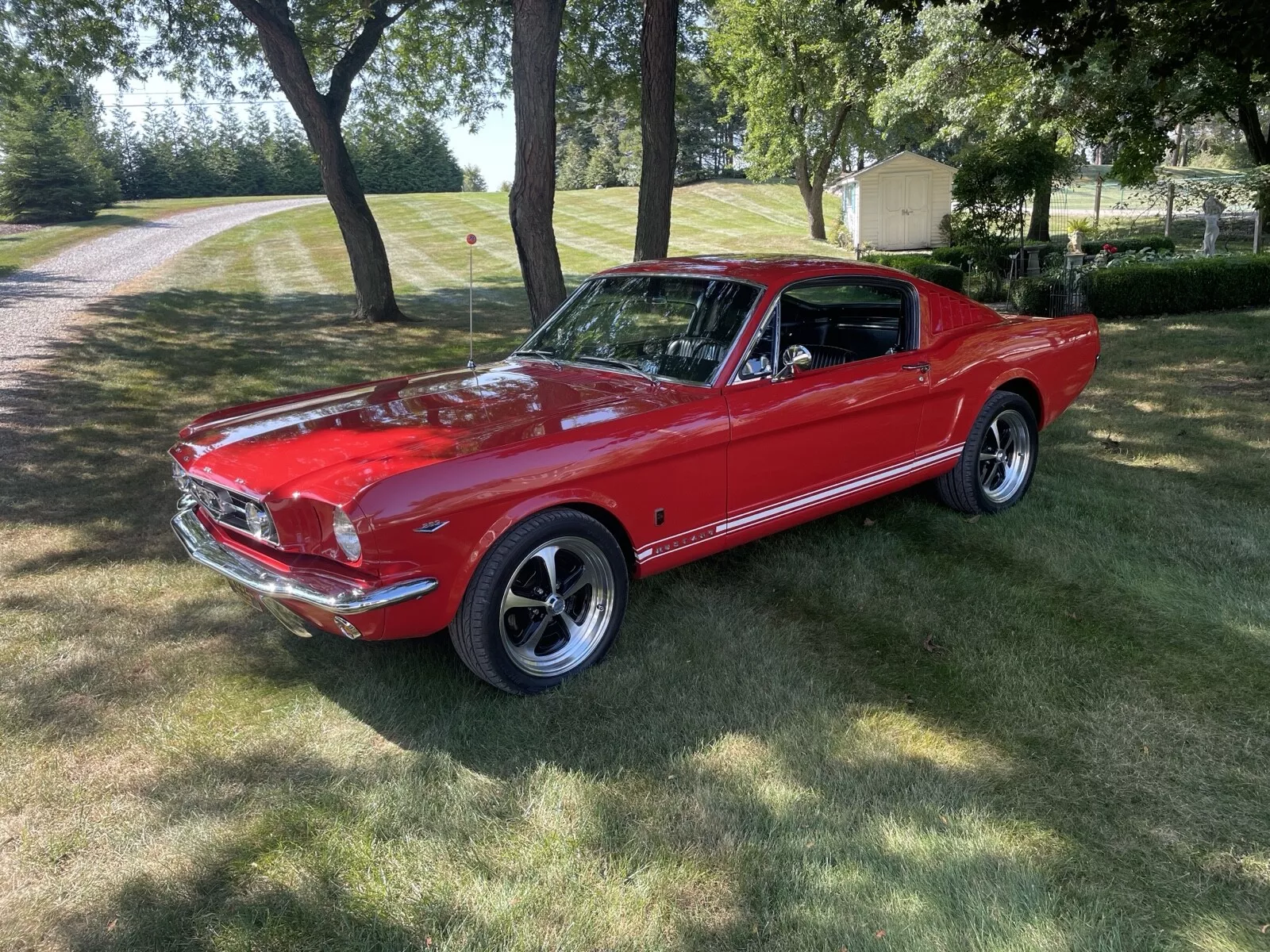 1965 Ford Mustang GT for sale