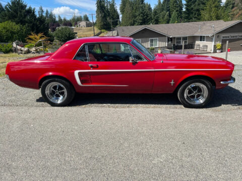 1967 Ford Mustang for sale