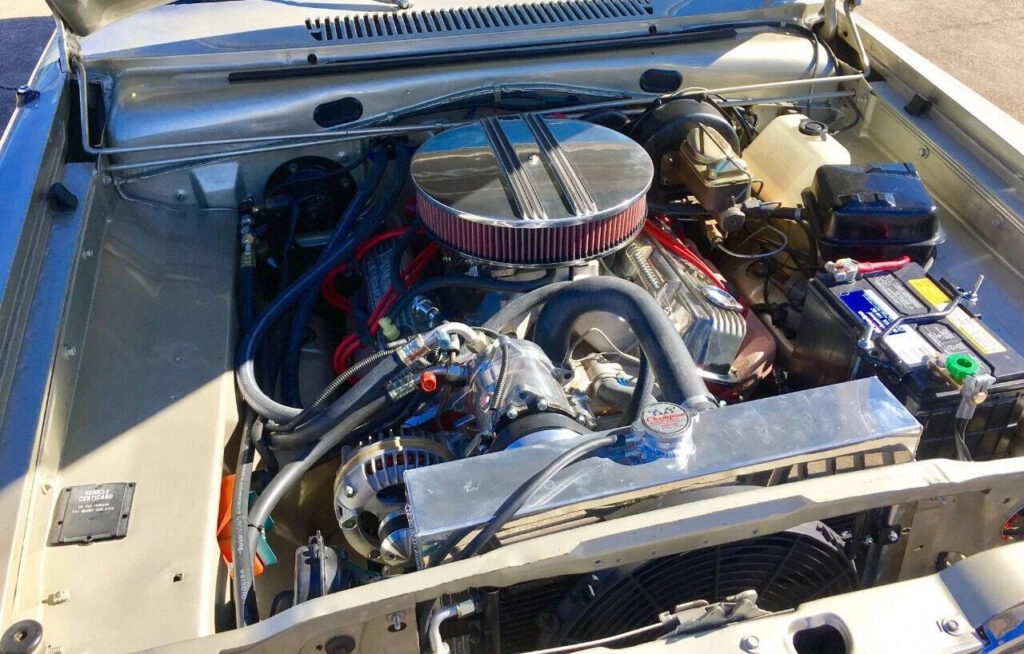 1966 Plymouth Barracuda Anniversary Edition Paint