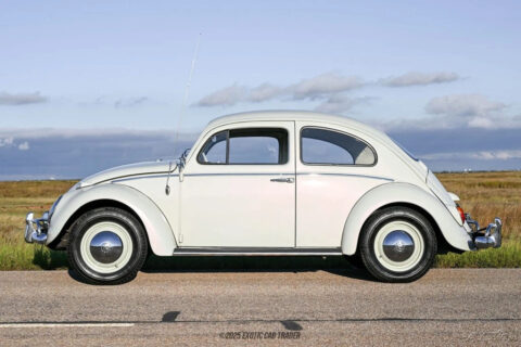 1962 Volkswagen Beetle – Classic for sale