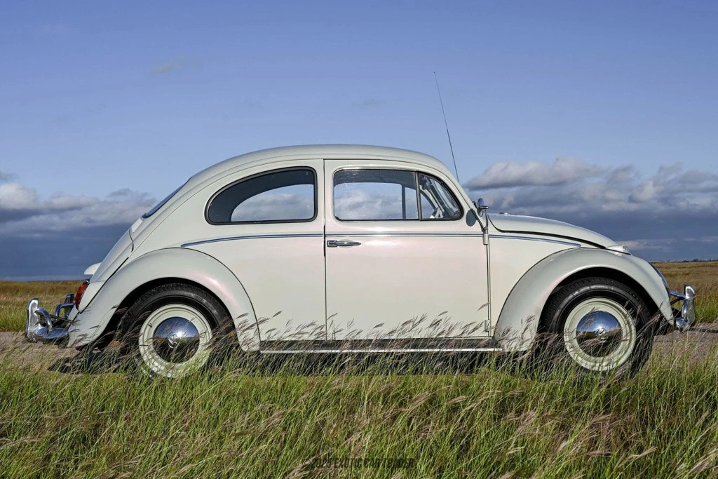 1962 Volkswagen Beetle – Classic