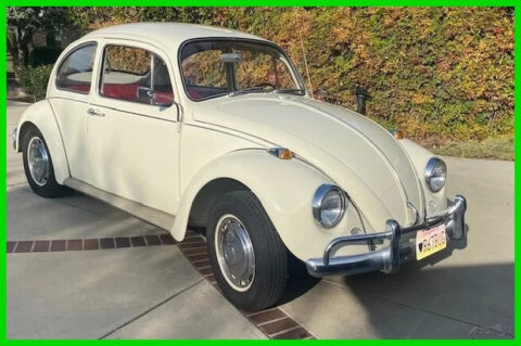 1967 Volkswagen Beetle – Classic 1300  Coupe “overhauled” Stock #399345 for sale