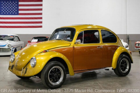 1969 Volkswagen Beetle for sale