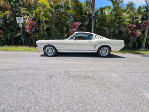 1966 Ford Mustang for sale
