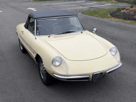 1967 Alfa Romeo Duetto Boat-Tail Spider for sale