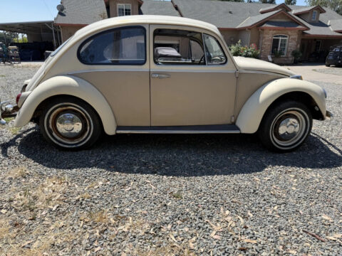 1967 Volkswagen Sedan “one-Year-Only” BUG for sale